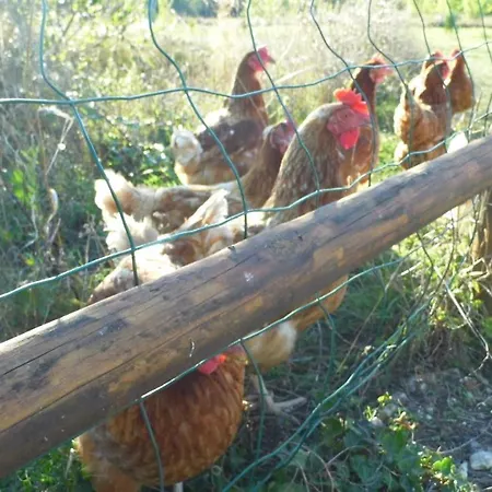 Casa de Férias Gîte à bâbord *