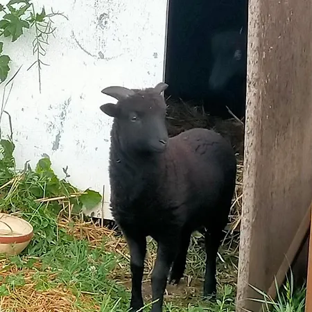 Eurl Kaza Evasion Services *