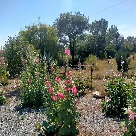 Gîte à bâbord * Cabariot