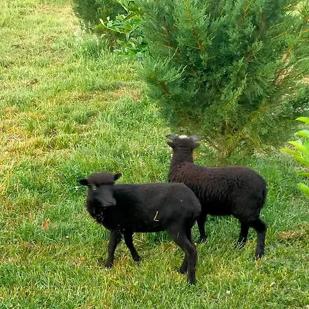 Casa de Férias Gîte à bâbord Cabariot