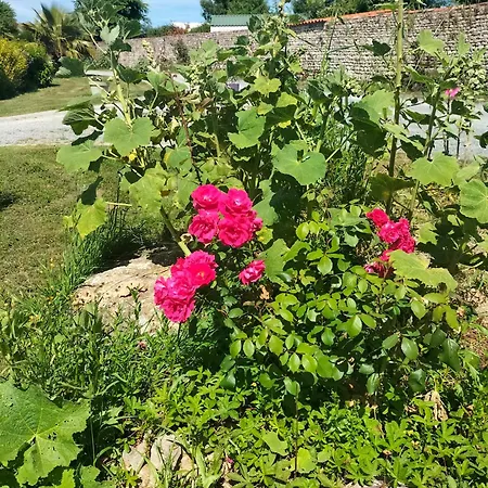 Gîte à bâbord * Cabariot