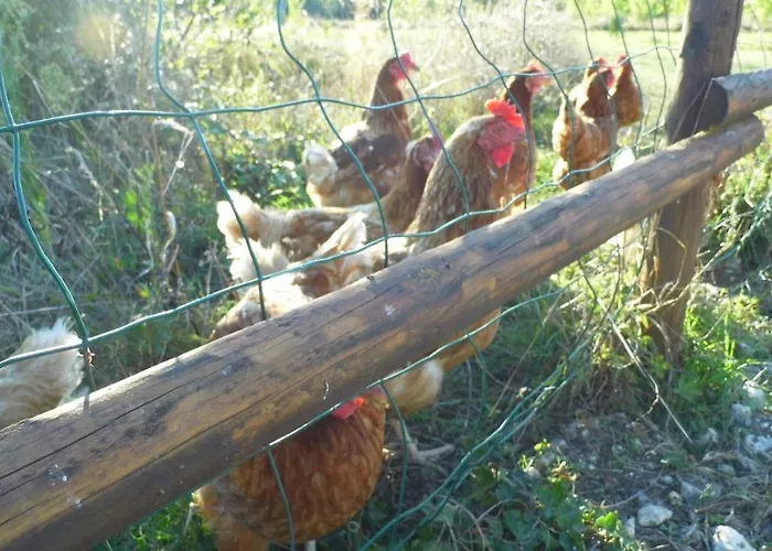 Сasa de vacaciones Eurl Kaza évasion Services *