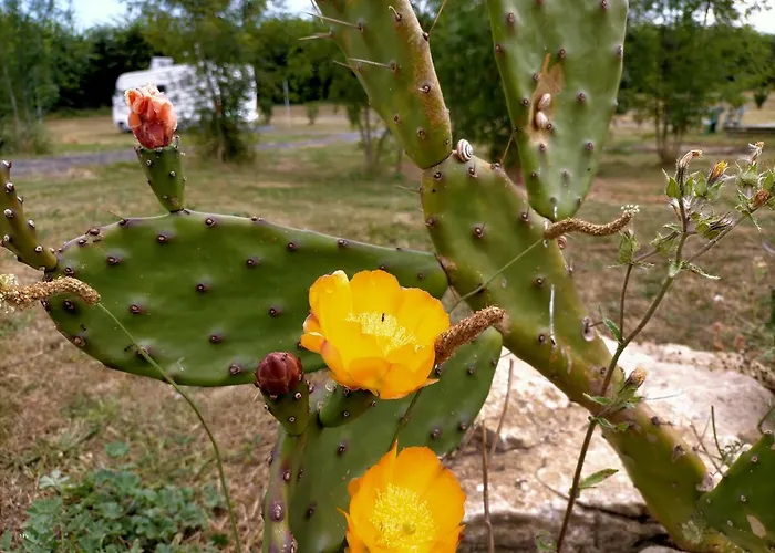 Eurl Kaza évasion Services