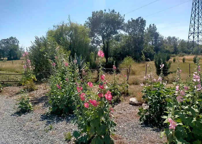 Eurl Kaza évasion Services * Cabariot