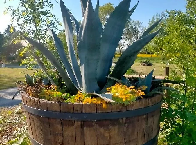 Eurl Kaza évasion Services