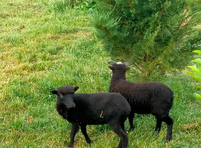 Сasa de vacaciones Eurl Kaza évasion Services Cabariot