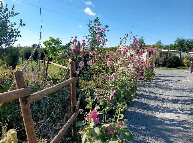 Сasa de vacaciones Eurl Kaza évasion Services Cabariot