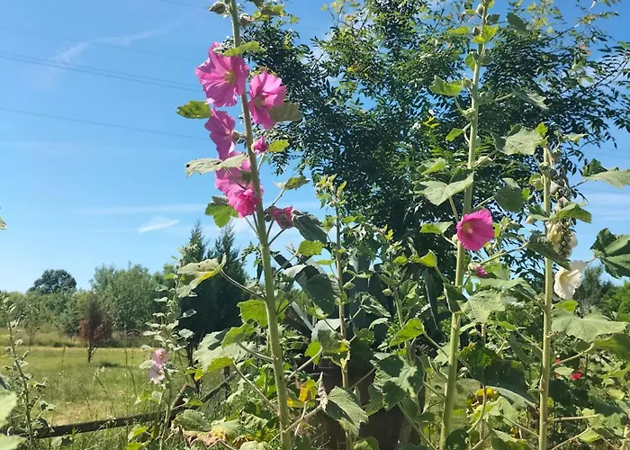 Eurl Kaza évasion Services *