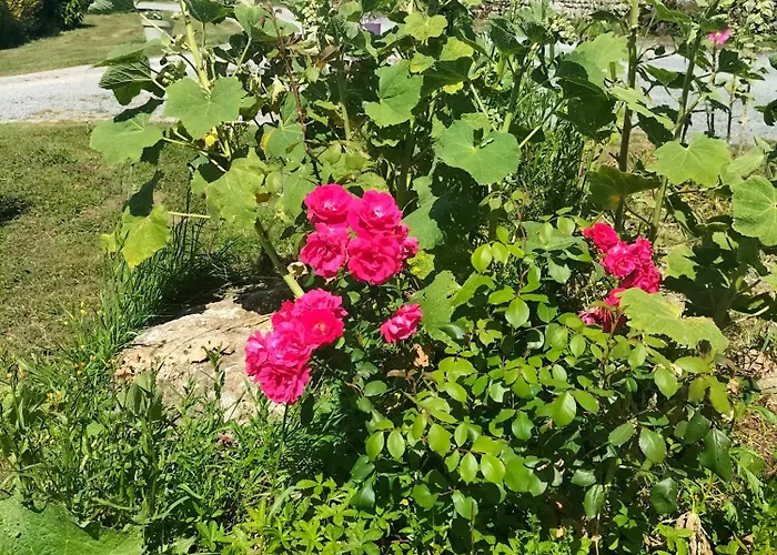 Eurl Kaza évasion Services * Cabariot